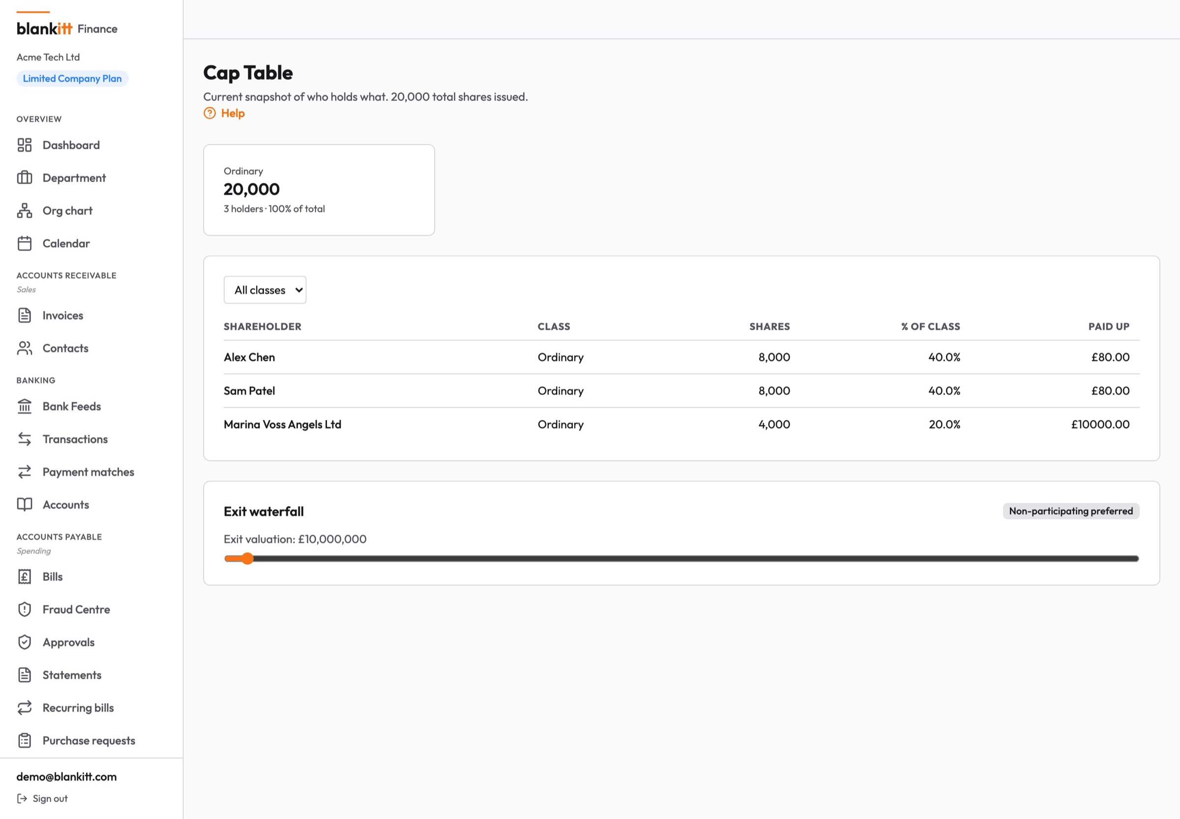 Blankitt Finance cap table — share classes, options vesting and dilution